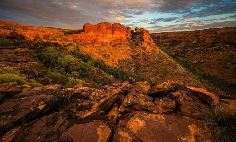 hair luvizac ingredient