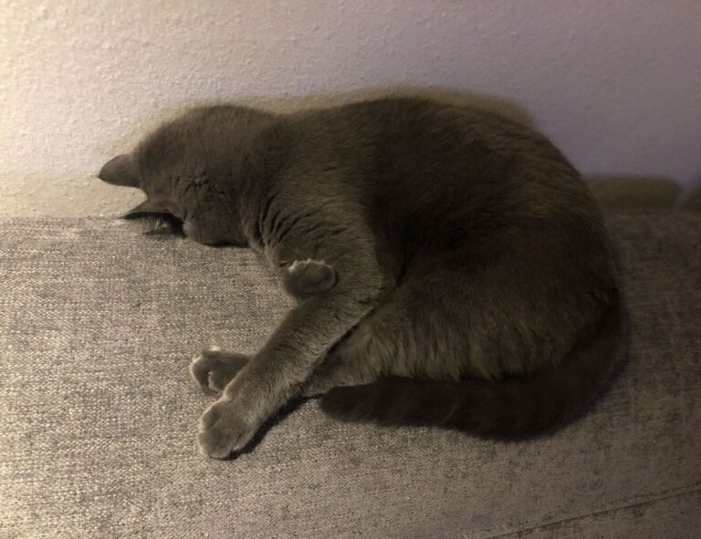 manual pdf jogamesole