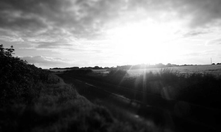 what is application in zillexit software