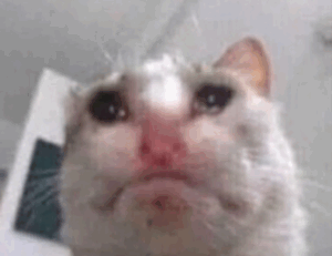 why is saisiege5487 not available in my country