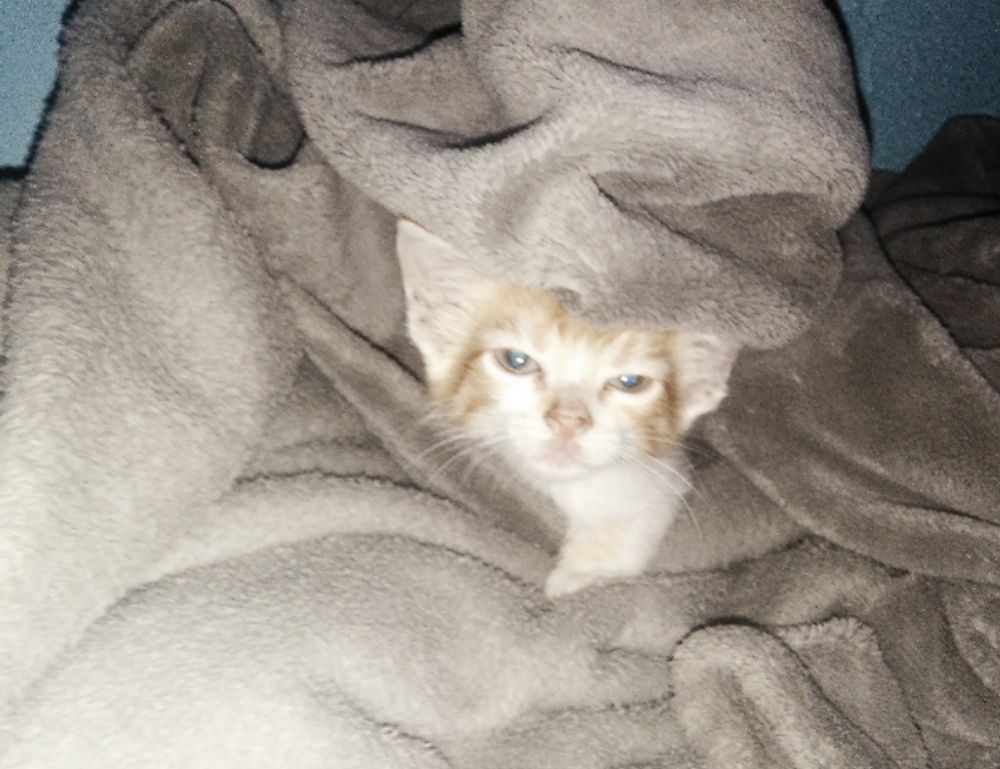 what video game is popular now togplayering