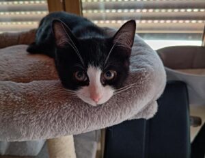 why video games are educational togplayering