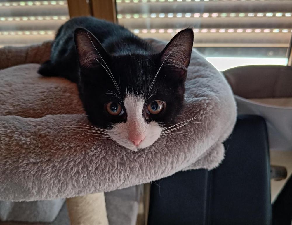 why video games are educational togplayering