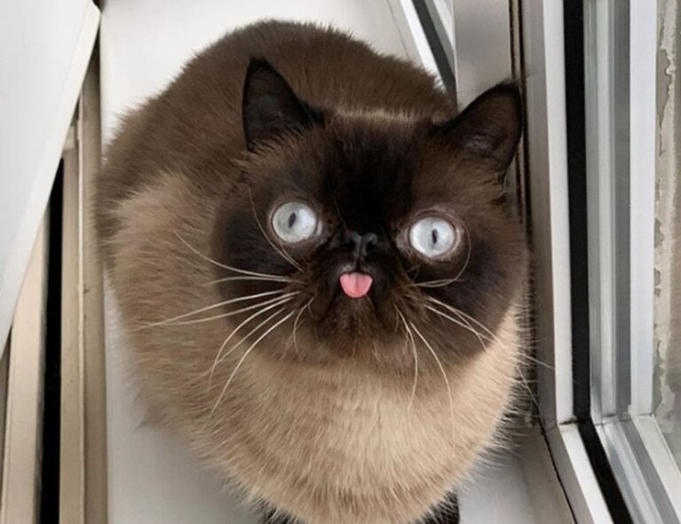 why video games are important togplayering