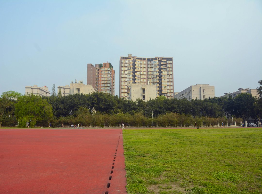 Article illustration