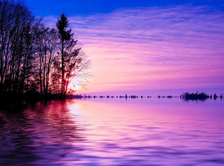 muebles de toca boca de papel