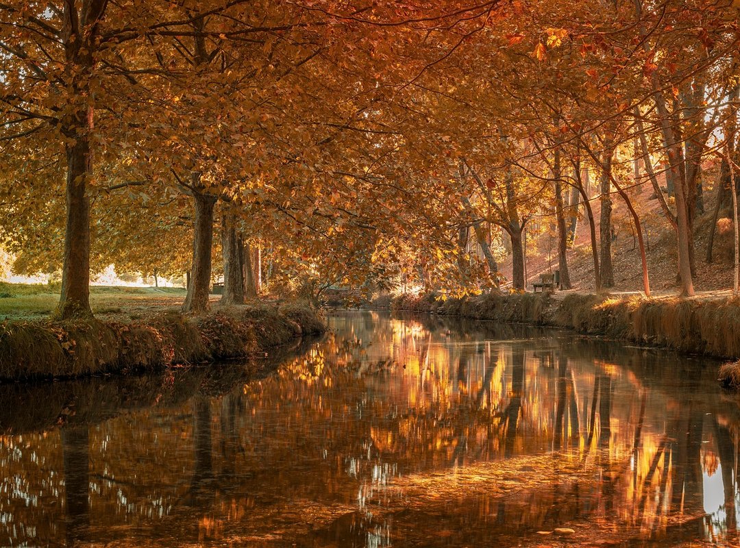 Galería de Perfiles de Spider-Man para Combinar