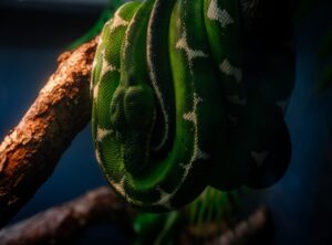 wallpaper seram keren hd