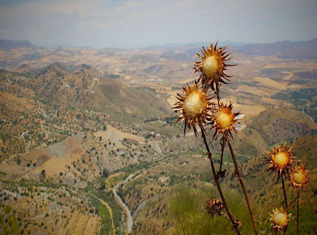 The Superstar Effect: How the Big Names Performed