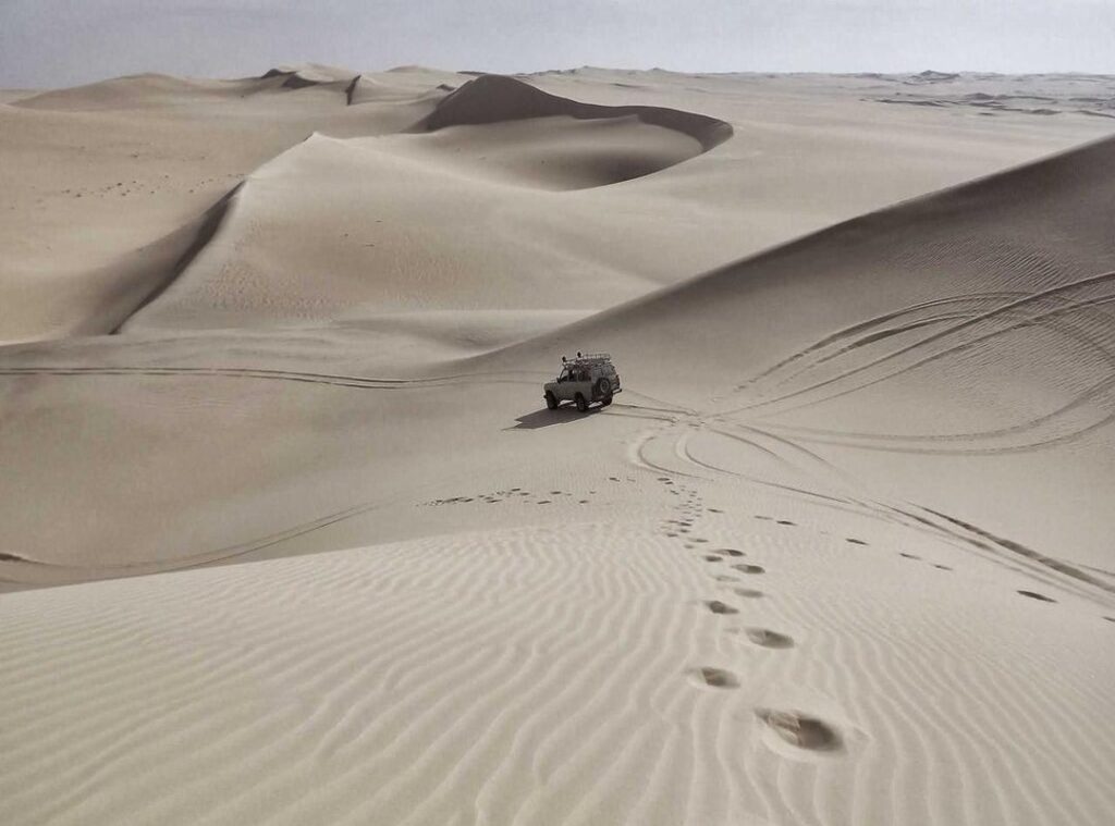 alight motion pro + mod apk (v4.0.4) download premium