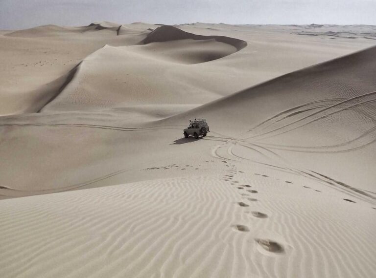 alight motion pro + mod apk (v4.0.4) download premium