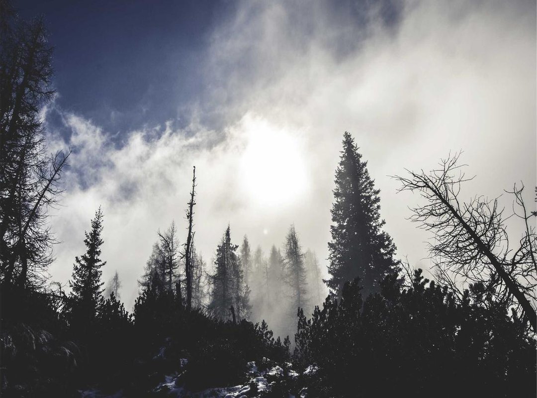 Tracing the Rumors: Why Is This Question Being Asked?