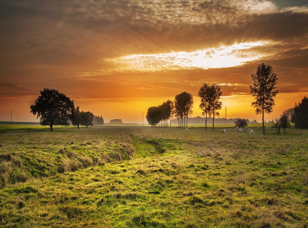 Frequently Asked Questions (FAQs)