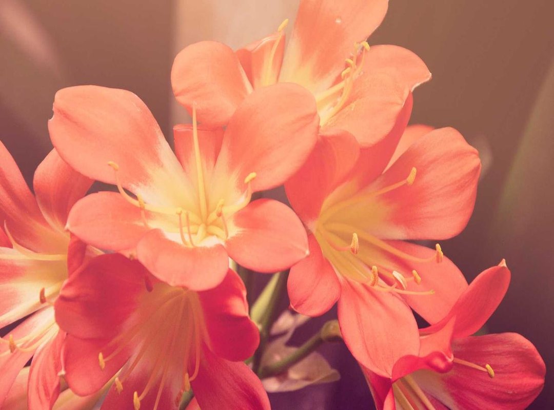 More Than a Trophy: The Symbolism of the Snake