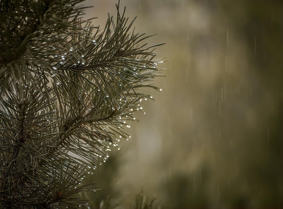 Why This Scene Became a Fan-Favorite Moment