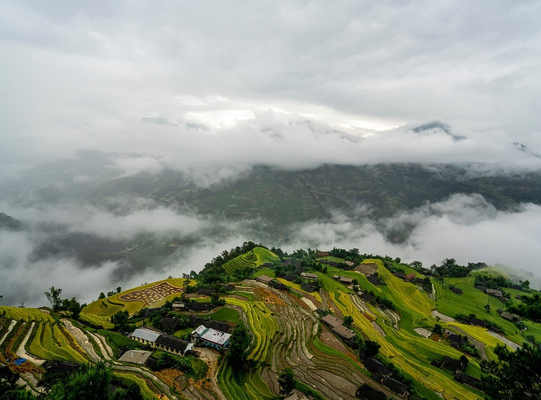 Steps to Access the Raw Version