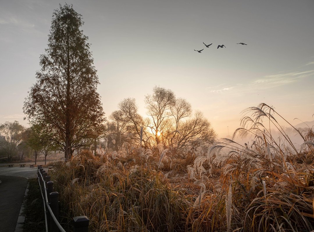 Visitor Experiences and Testimonials